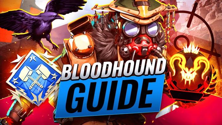 Bloodhound Guide