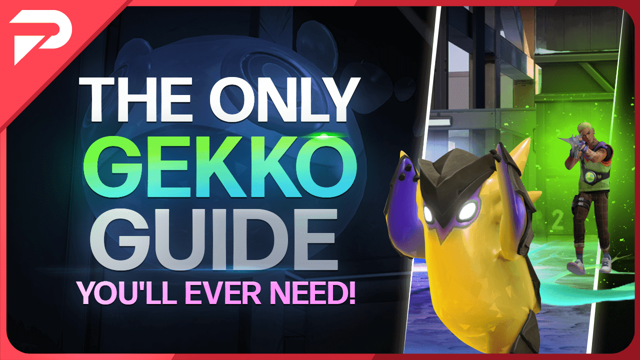 Everything You Need To Know About Gekko
